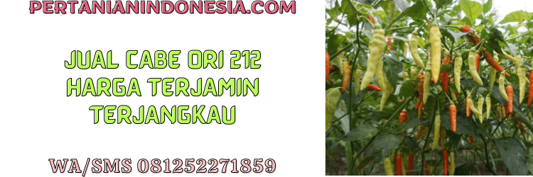 jual,murah,terjangkau,toko pertanian terdekat,pertanian indonesia